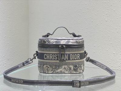 DIOR Handbags 421